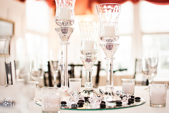 "Happy Finch Photography", "Harrisburg wedding photographer", Harrisburg, Pennsylvania, "Rosemont Manor", Virginia, wedding, ceremony, bride, groom, "bridal portraits"