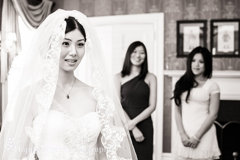 ShijingJingchao-BW-049