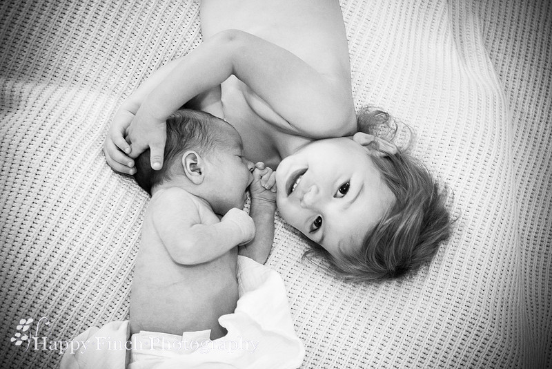 "Happy Finch Photography" newborn photo session