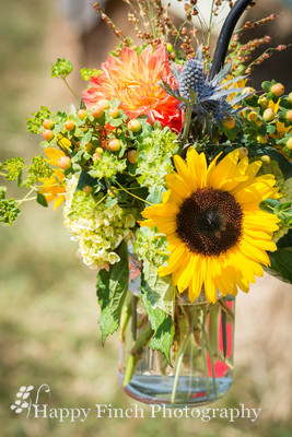 Berryville, "Happy Finch Photography", "Melinda Genda", "Northern Virginia", marriage, engagement, couple, event, love, "Rosemont Manor", Virginia, bluegrass, bride, ceremony, country, family, farm, g