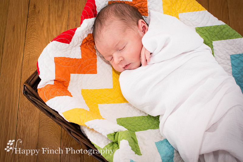 "Happy Finch Photography" newborn photo session