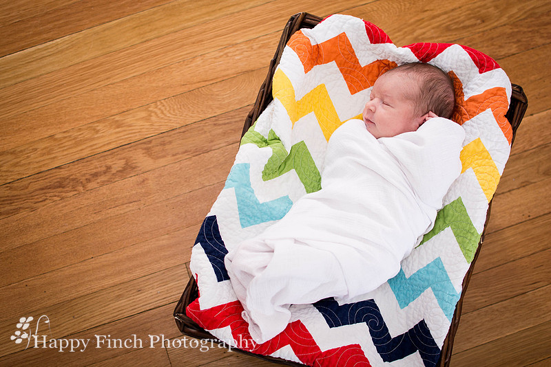 "Happy Finch Photography" newborn photo session