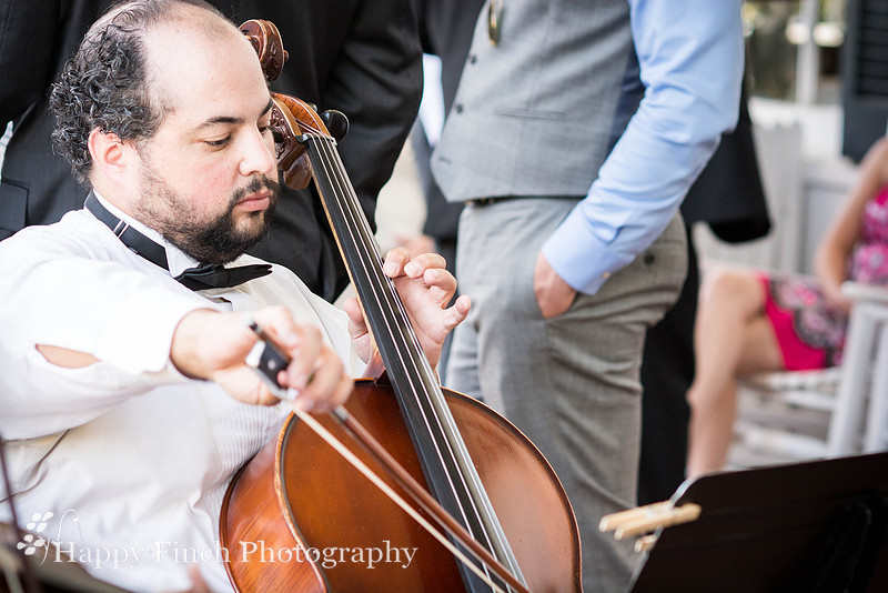 Berryville, "Happy Finch Photography", "Melinda Genda", "Northern Virginia", marriage, engagement, couple, event, love, "Rosemont Manor", Virginia, bluegrass, bride, ceremony, country, family, farm, g