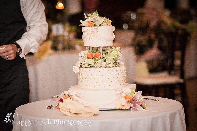 Berryville, "Happy Finch Photography", "Melinda Genda", "Northern Virginia", marriage, engagement, couple, event, love, "Rosemont Manor", Virginia, bluegrass, bride, ceremony, country, family, farm, g