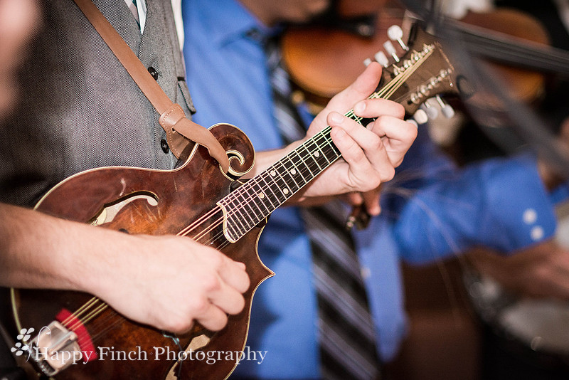 Berryville, "Happy Finch Photography", "Melinda Genda", "Northern Virginia", marriage, engagement, couple, event, love, "Rosemont Manor", Virginia, bluegrass, bride, ceremony, country, family, farm, g