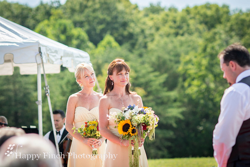 Berryville, "Happy Finch Photography", "Melinda Genda", "Northern Virginia", marriage, engagement, couple, event, love, "Rosemont Manor", Virginia, bluegrass, bride, ceremony, country, family, farm, g