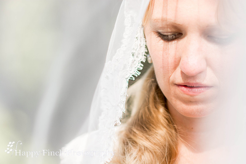 Berryville, "Happy Finch Photography", "Melinda Genda", "Northern Virginia", marriage, engagement, couple, event, love, "Rosemont Manor", Virginia, bluegrass, bride, ceremony, country, family, farm, g