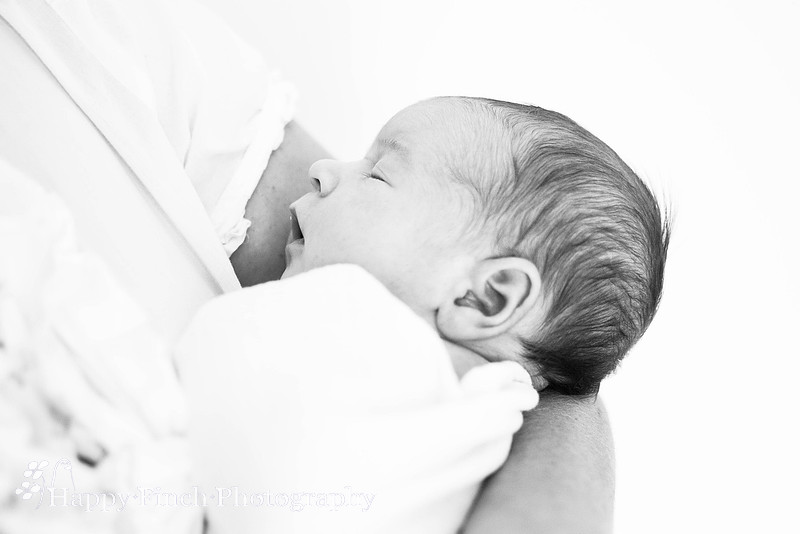 "Happy Finch Photography" newborn photo session