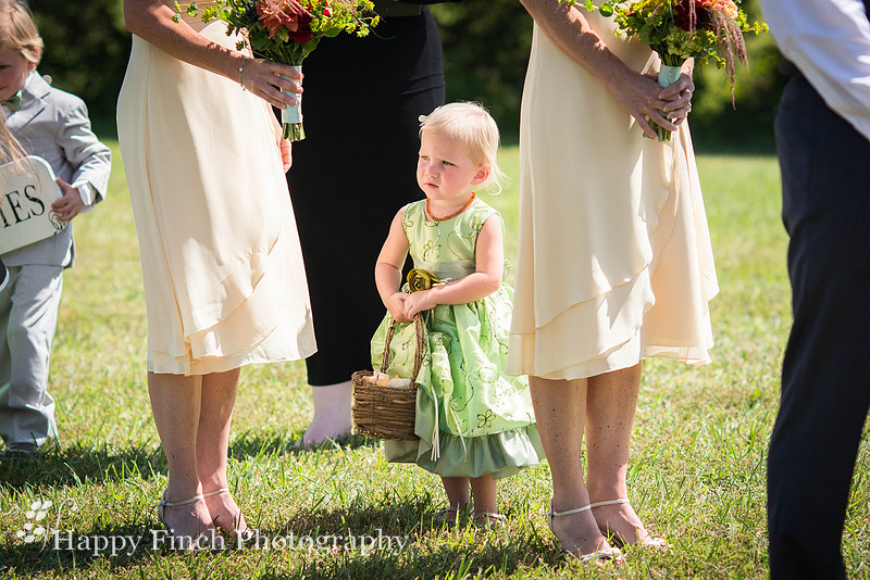 Berryville, "Happy Finch Photography", "Melinda Genda", "Northern Virginia", marriage, engagement, couple, event, love, "Rosemont Manor", Virginia, bluegrass, bride, ceremony, country, family, farm, g