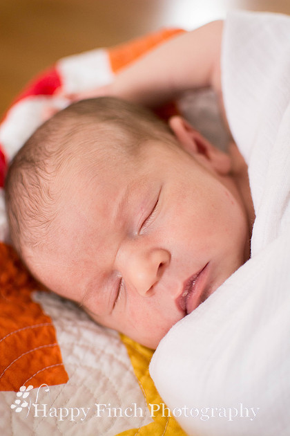 "Happy Finch Photography" newborn photo session