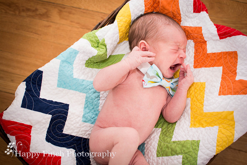 "Happy Finch Photography" newborn photo session
