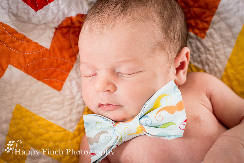 "Happy Finch Photography" newborn photo session