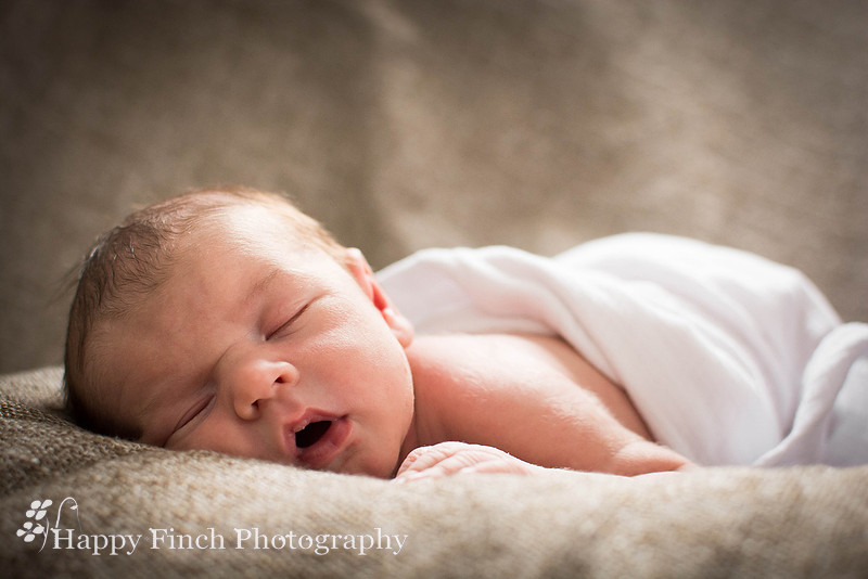 "Happy Finch Photography" newborn photo session