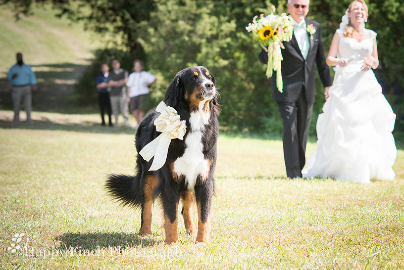 Berryville, "Happy Finch Photography", "Melinda Genda", "Northern Virginia", marriage, engagement, couple, event, love, "Rosemont Manor", Virginia, bluegrass, bride, ceremony, country, family, farm, g
