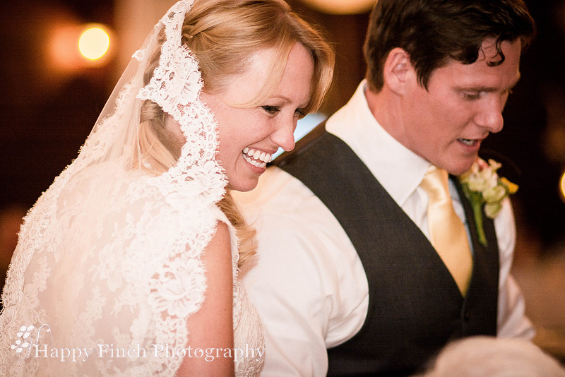 Berryville, "Happy Finch Photography", "Melinda Genda", "Northern Virginia", marriage, engagement, couple, event, love, "Rosemont Manor", Virginia, bluegrass, bride, ceremony, country, family, farm, g