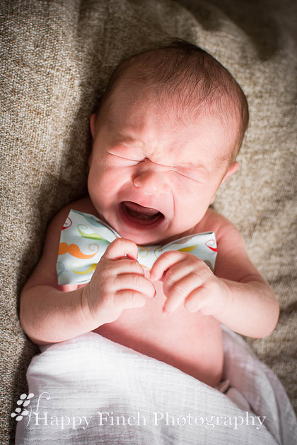 "Happy Finch Photography" newborn photo session