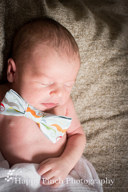 "Happy Finch Photography" newborn photo session