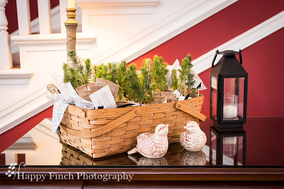 "Happy Finch Photography", "Harrisburg wedding photographer", Harrisburg, Pennsylvania, "Rosemont Manor", Virginia, wedding, ceremony, bride, groom, "bridal portraits"