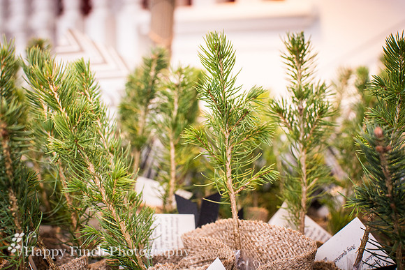 "Happy Finch Photography", "Harrisburg wedding photographer", Harrisburg, Pennsylvania, "Rosemont Manor", Virginia, wedding, ceremony, bride, groom, "bridal portraits"